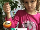 131753382_4964953680213745_4221327842554128697_n