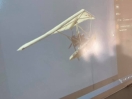 128172388_10214720144877014_217423196632212911_n