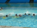 dscn3121