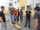 pic019